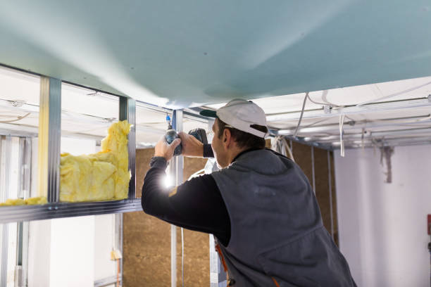 Best Cellulose Insulation in Innsbrook, VA